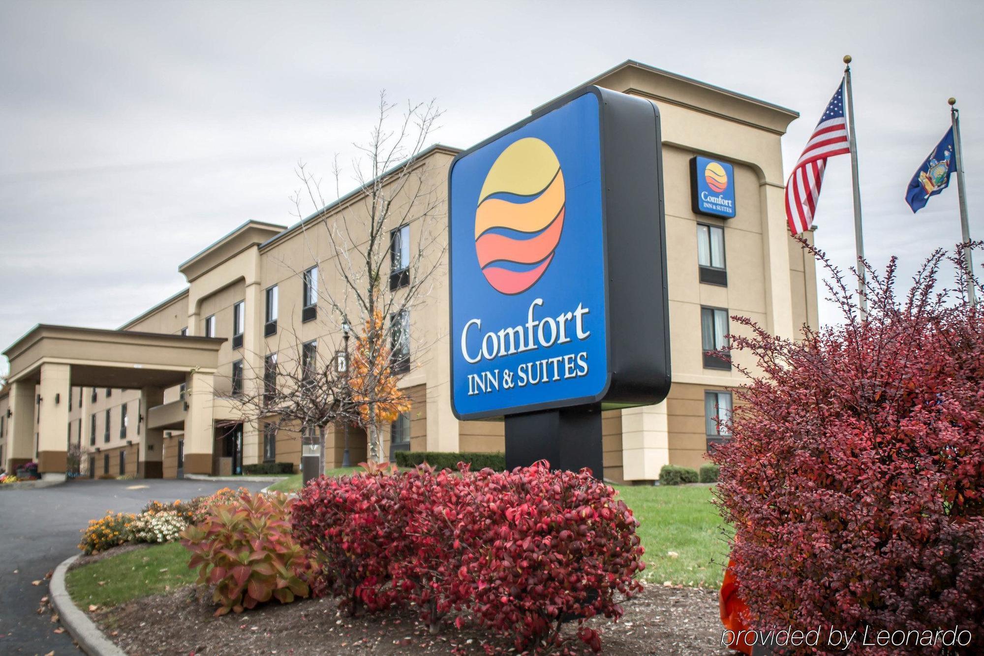 Holiday Inn Express & Suites - Albany Airport - Wolf Road By Ihg Εξωτερικό φωτογραφία