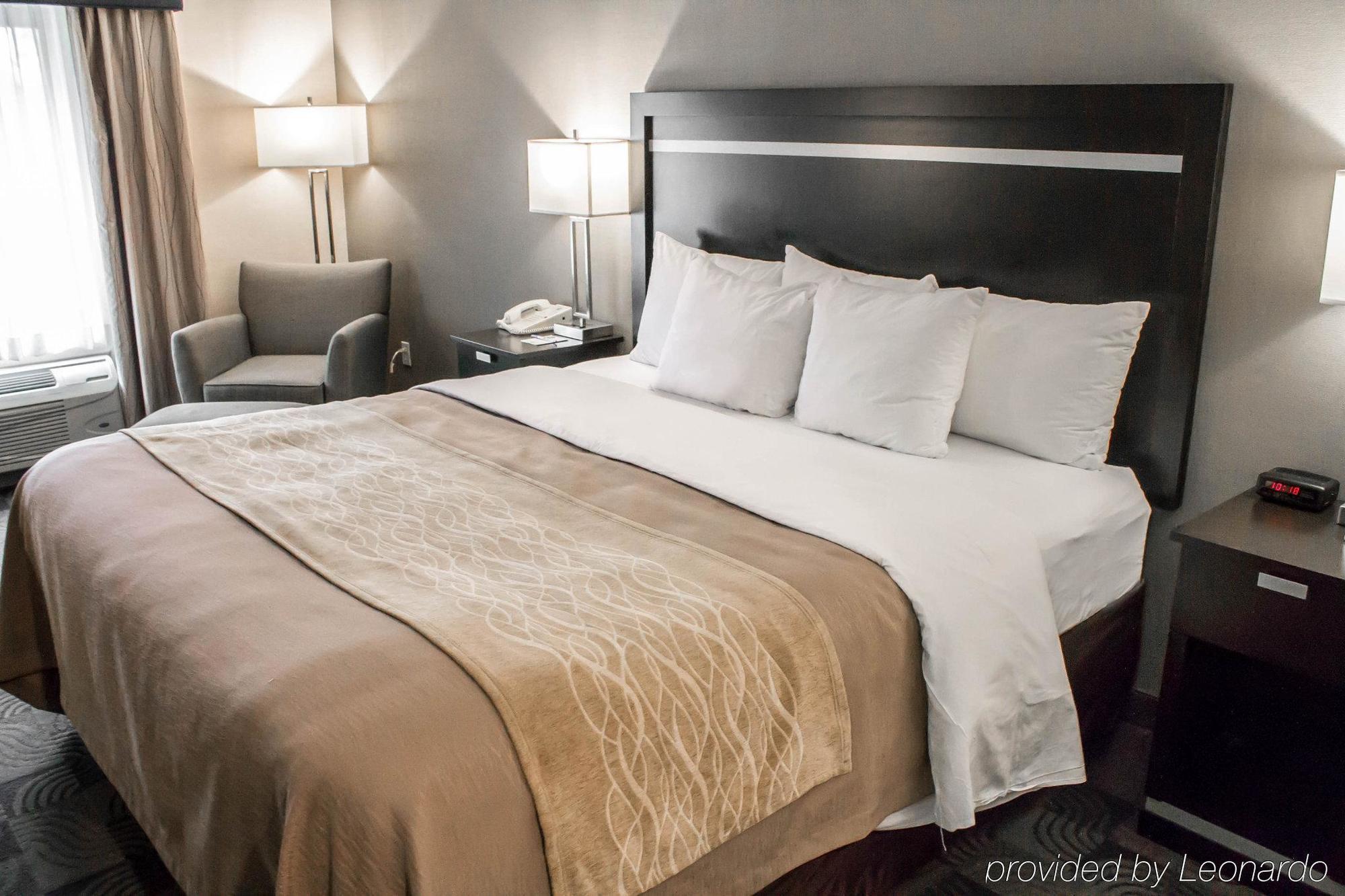 Holiday Inn Express & Suites - Albany Airport - Wolf Road By Ihg Εξωτερικό φωτογραφία