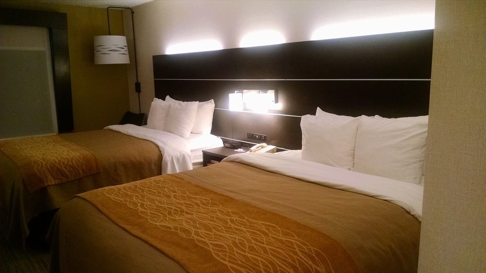 Holiday Inn Express & Suites - Albany Airport - Wolf Road By Ihg Εξωτερικό φωτογραφία