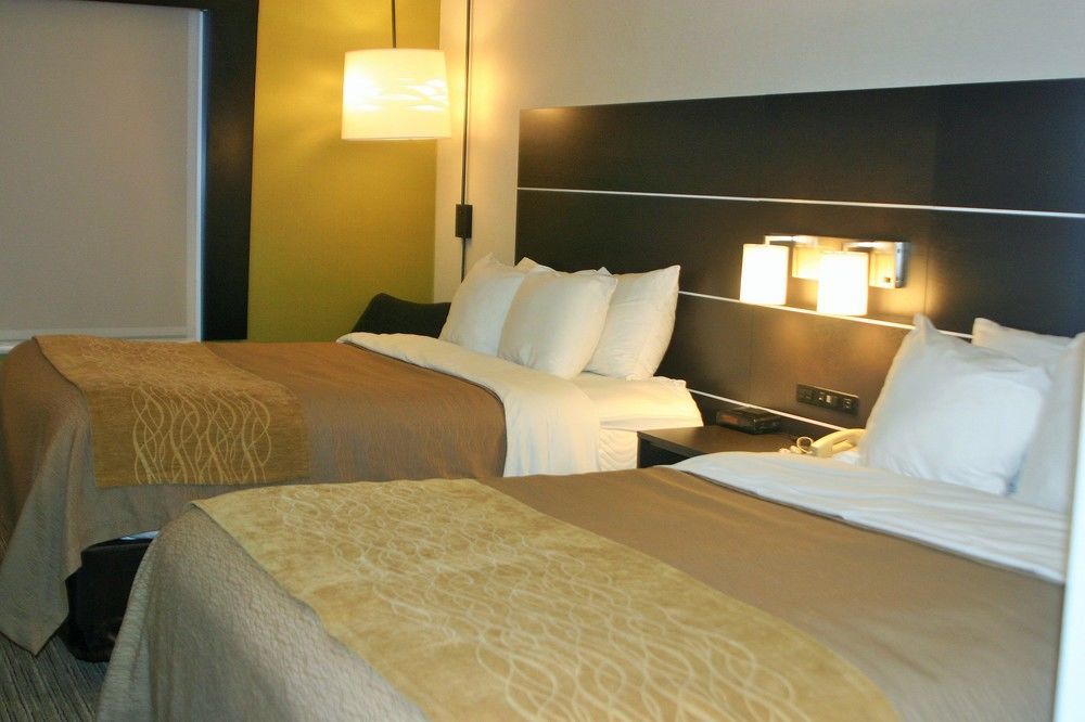 Holiday Inn Express & Suites - Albany Airport - Wolf Road By Ihg Εξωτερικό φωτογραφία