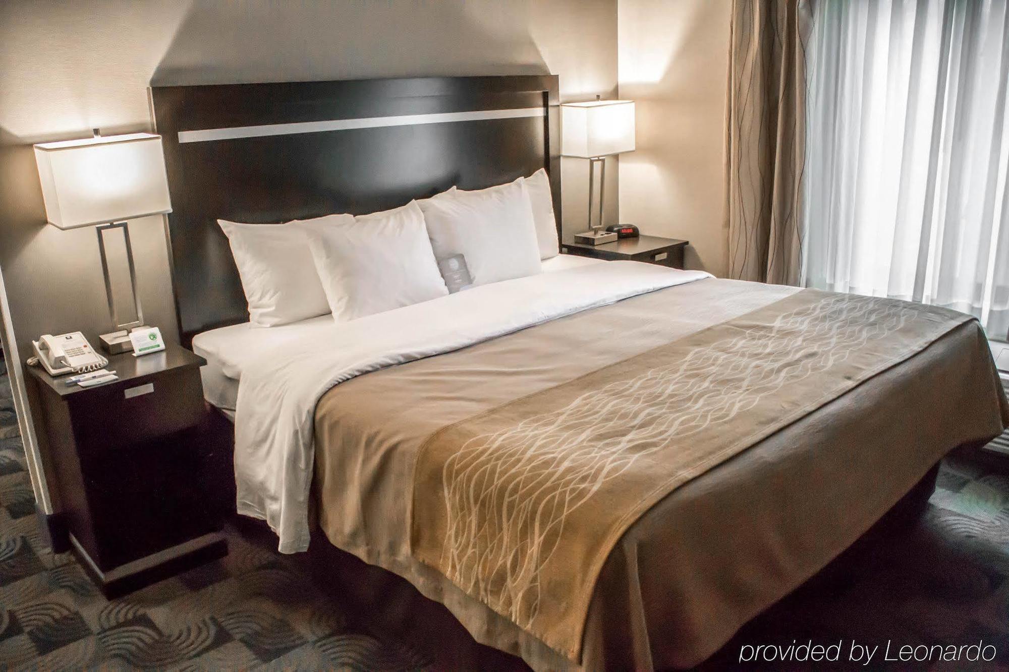 Holiday Inn Express & Suites - Albany Airport - Wolf Road By Ihg Εξωτερικό φωτογραφία