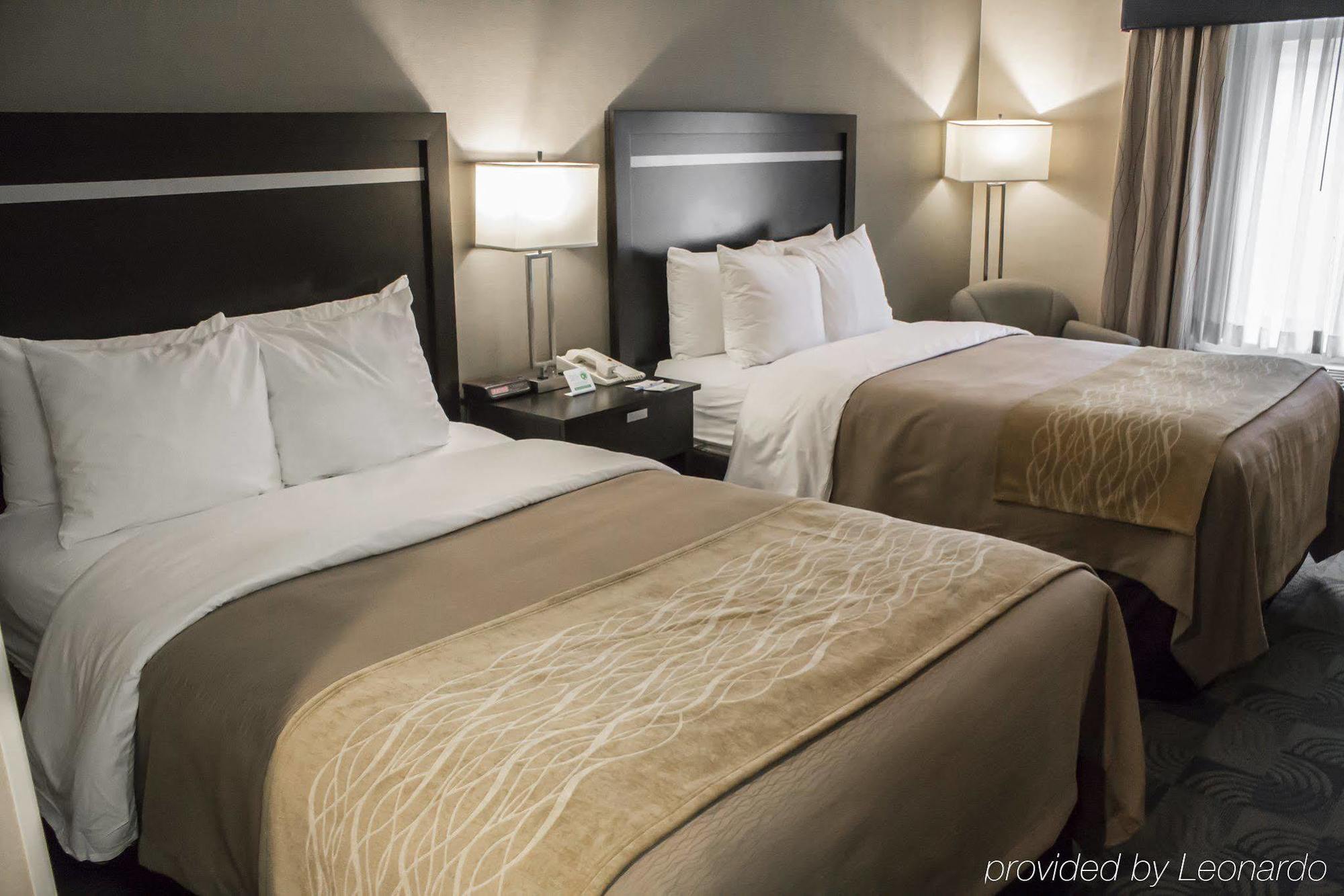 Holiday Inn Express & Suites - Albany Airport - Wolf Road By Ihg Εξωτερικό φωτογραφία